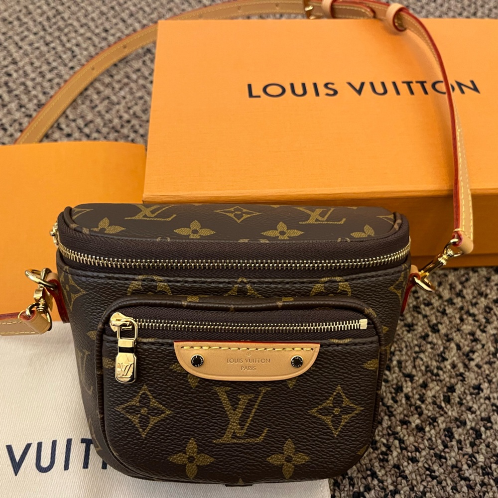 LV mini bum bag